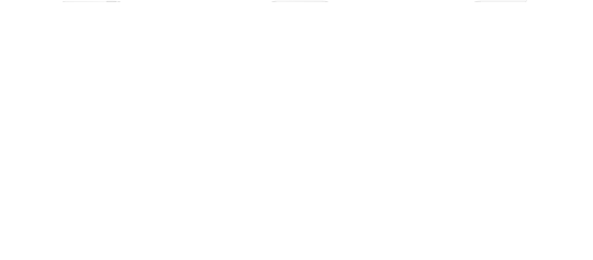 APP Unternehmensberatung